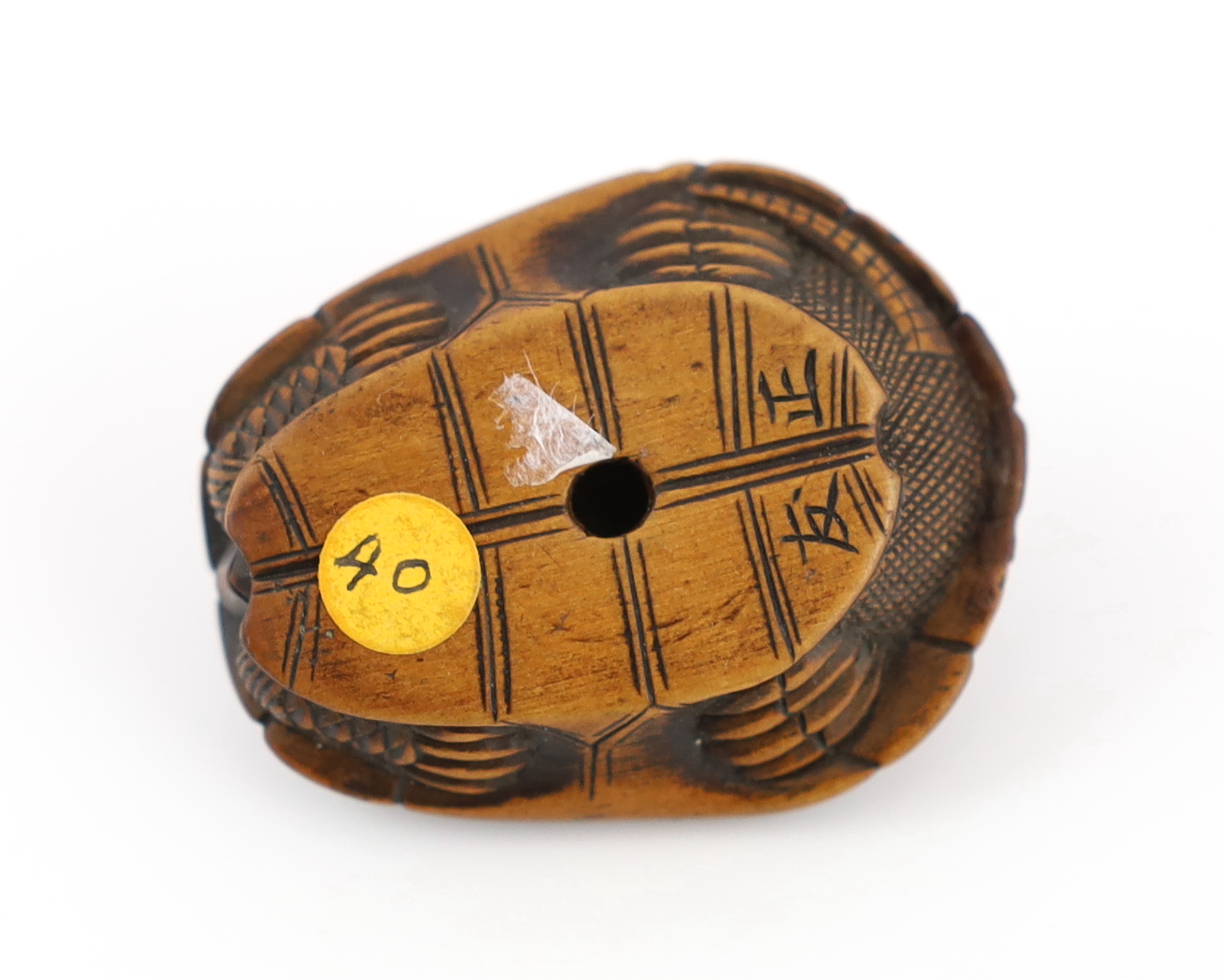 A Japanese carved wood netsuke of a turtle shell, mid 19th century